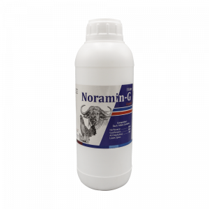 noramin-g-1ltr-1000x1000-1.png